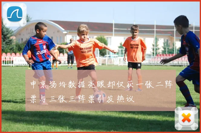 申京场均数据亮眼却仅获一张二阵票与三张三阵票引发热议