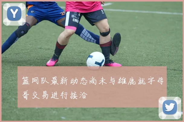 篮网队最新动态尚未与雄鹿就字母哥交易进行接洽